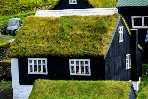 green roof 2