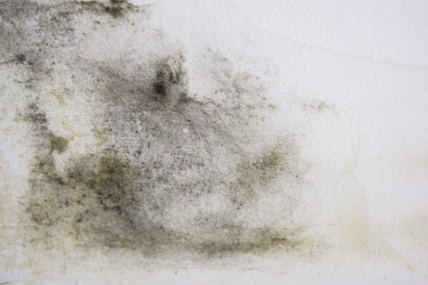 cleaning ceiling 3