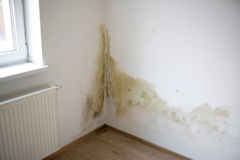 remove wall stain 4