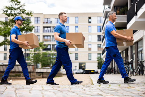 Professionele verhuizers laden verhuisdozen in een bestelwagen tijdens een georganiseerde verhuizing.