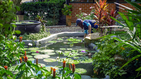 cleaning the pond 4