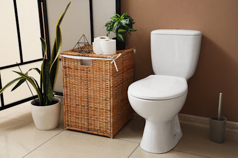 Een witte wc pot naast een rieten mand en een plant