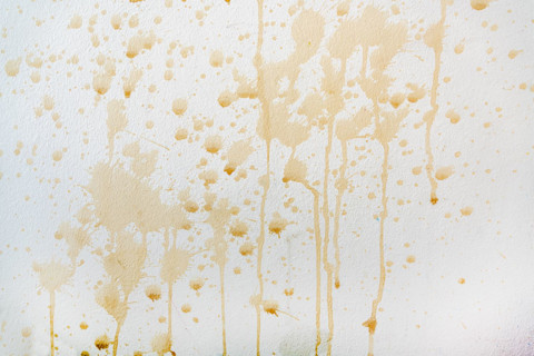 remove wall stain 2
