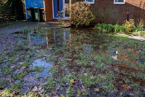 flooding garden 4