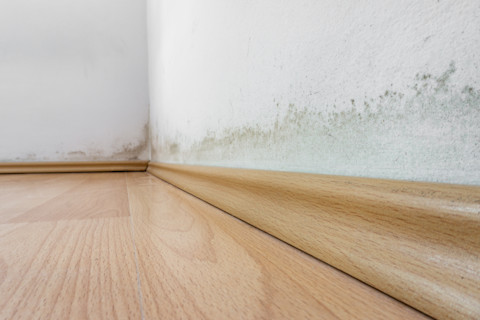 painting damp spots 2