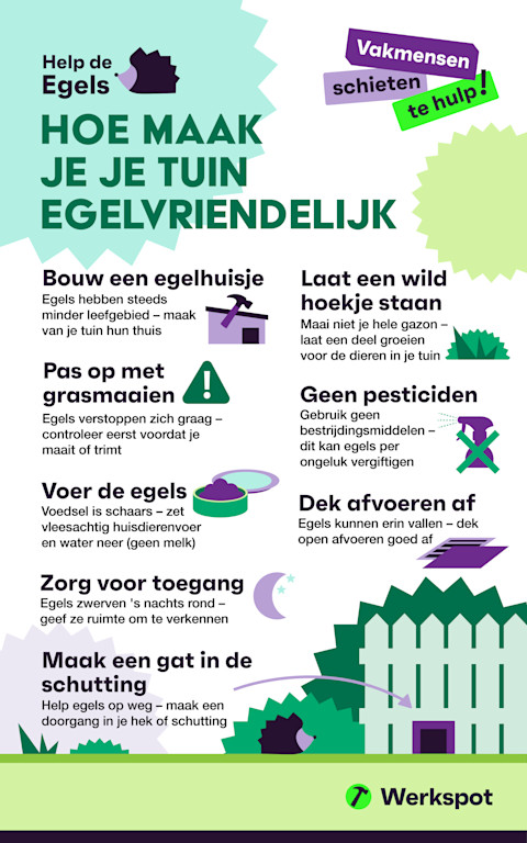 Hoe maak je je tuin egelvriendelijk