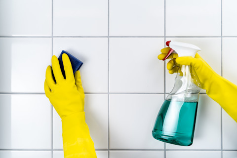 Removing bathroom mold04