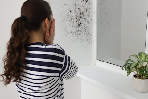painting damp spots 3