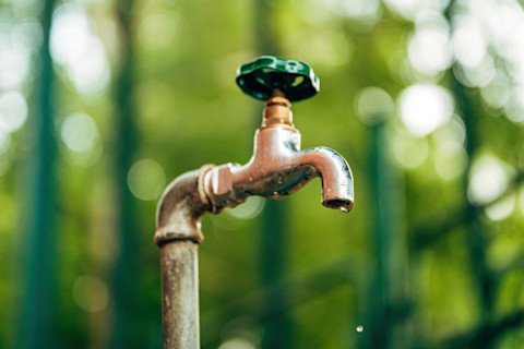 Buitenwaterkraan tegen groene achtergrond met slangconnector, geschikt voor tuinbewatering.