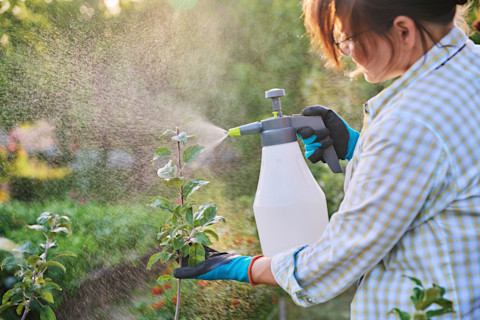 watering the garden 4