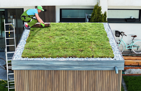 Dakdekker werkt aan een nieuw groen dak op een schuur in de tuin van een woning