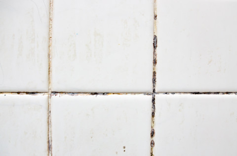 Cleaning bathroom grout01