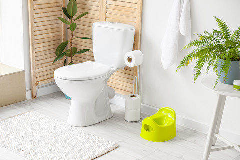 replace toilet bowl 101
