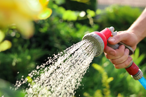 Man sproeit planten met een tuinslang, gericht op efficiënt tuinonderhoud.