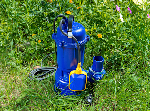 Blauwe dompelpomp op gras