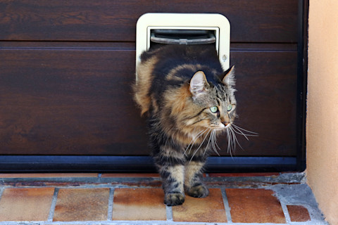 install cat flap 3