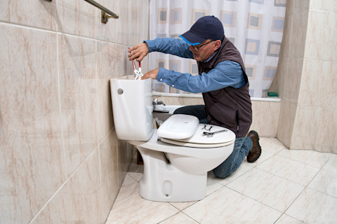 replace toilet02