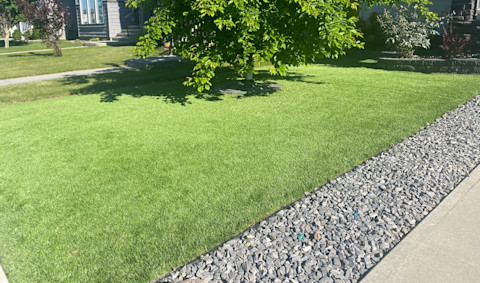 Prachtig kunstgras in de tuin met een rand van kiezel en omringd door weelderige bomen en struiken