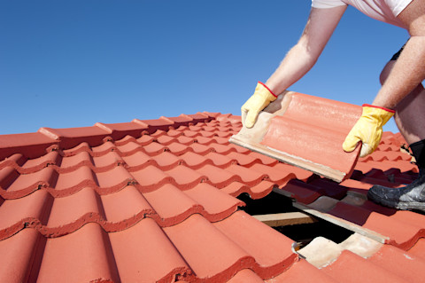 Roof maintenance02