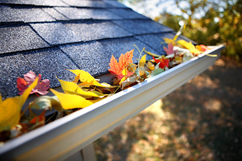 Roof maintenance04