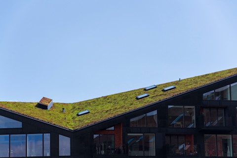 Choosing roof covering04
