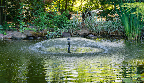 Fonteinpomp in vijver met helder groen water, zorgt voor circulatie en decoratief effect.