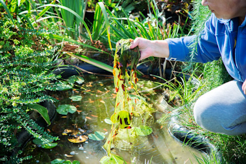 pond cleaning 2