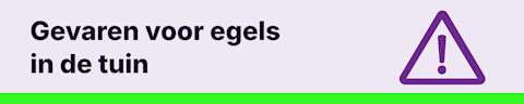 NL- gevaren voor egels in de tuin