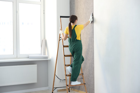 paint or wallpaper 2