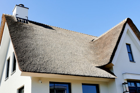 Wit huis met een rieten dak onder een blauwe lucht, met een schoorsteen en groene bomen op de achtergrond. 
