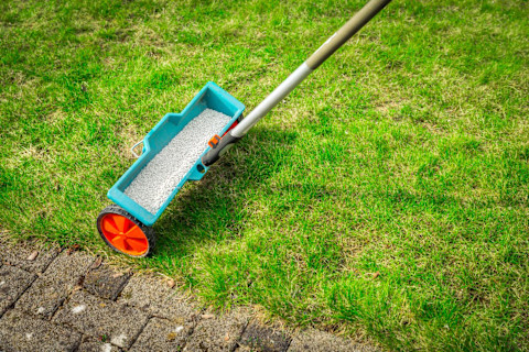fertilize lawn 3