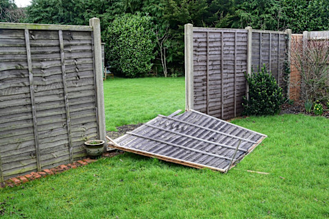 Schutting zwaar beschadigd door storm Eunice, met omgevallen houten panelen in een tuin.