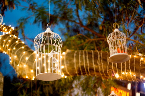 bohemian garden 4