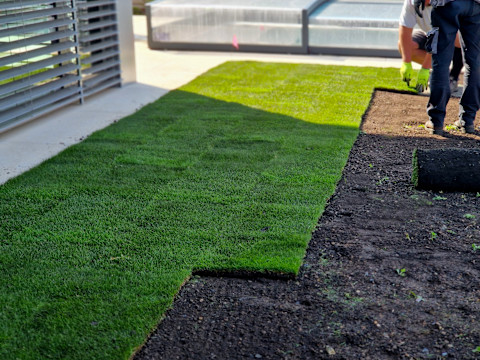 Hovenier legt graszoden in een tuin