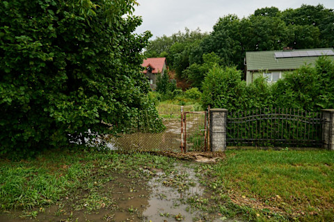 flooding garden 3
