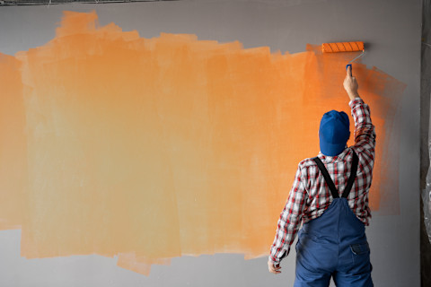 paint or wallpaper 3