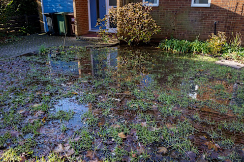 flooding garden 4