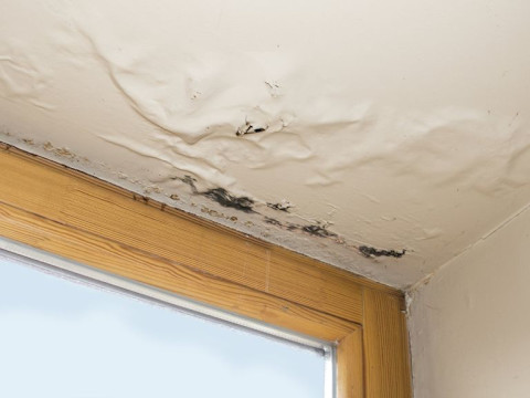 Een beschadigd plafond met waterplekken en schimmel rondom het houten raamkozijn, wijzend op vocht- en waterschade.