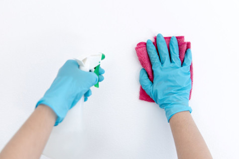 remove smoke odor in the house 4