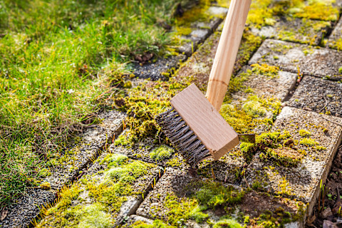 remove grass replace 3