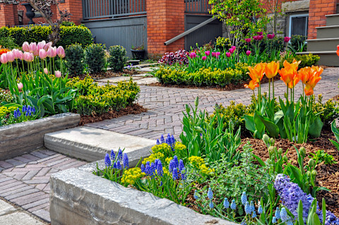 Een nieuw aangelegde tuin met stenen plantenbakken