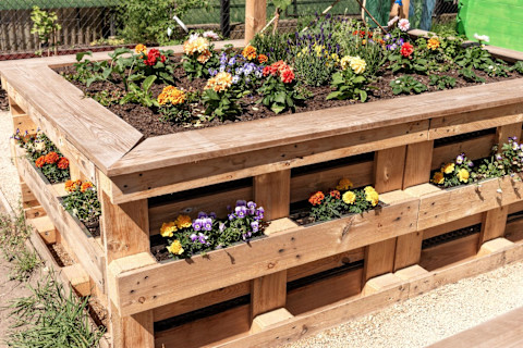 making a vegetable garden 3