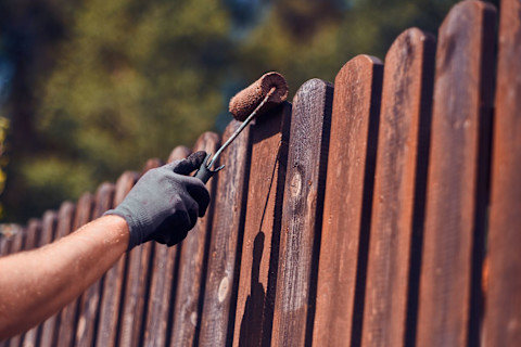 De ultieme gids voor een schutting beitsen