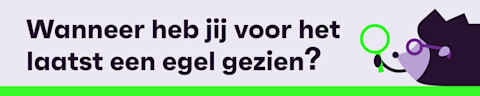 wanneer heb jij voor het laatst een egel gezien campagne banner