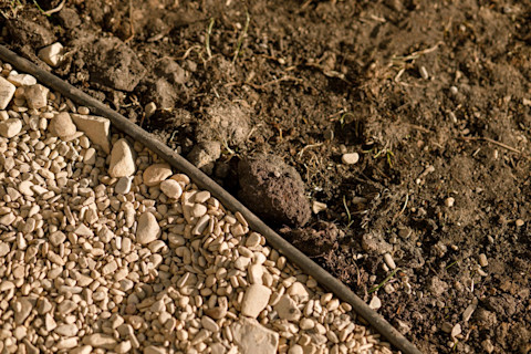 low maintenance garden 2