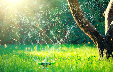 Automatisch sproeisysteem besproeit een onderhoudsarme tuin met gras op een zonnige dag.