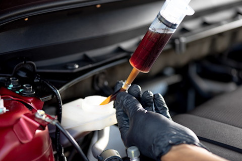 replace brake fluid 2