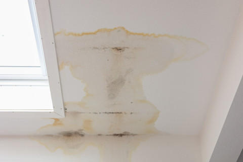 roof leak 2