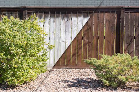 fence staining 2
