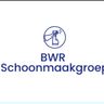 BWR- Schoonmaak
